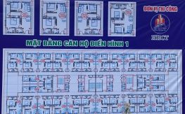 Mặt bằng điển hình căn hộ chung cư Thanh Hà - Nhà Ở Xã Hội Phân Khu B1.2