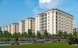 Phối Cảnh 3D Nhà Ở Xã Hội Thấp Tầng Chung Cư Thanh Hà Cienco 5